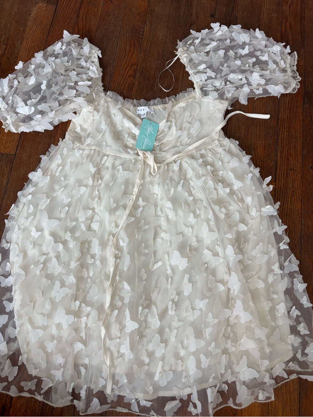 Ivory Butterfly Appliqué Mini Dress